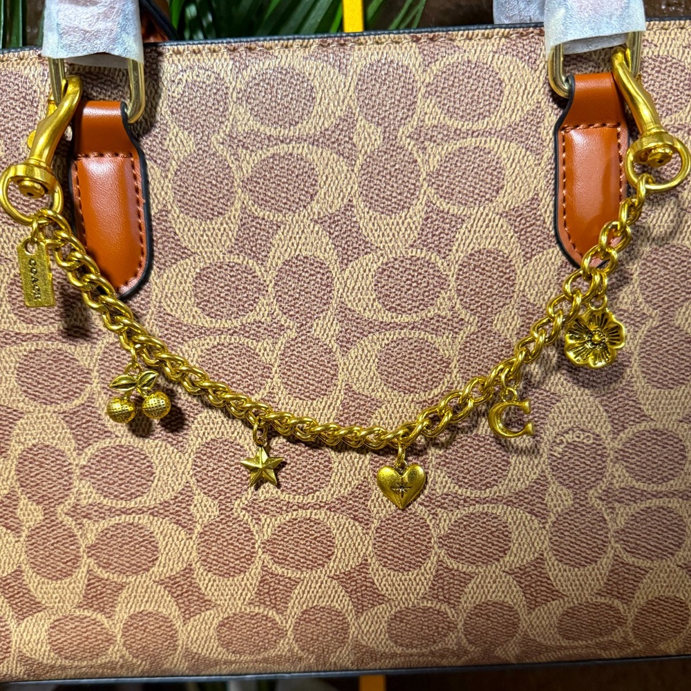 Gold coach chain